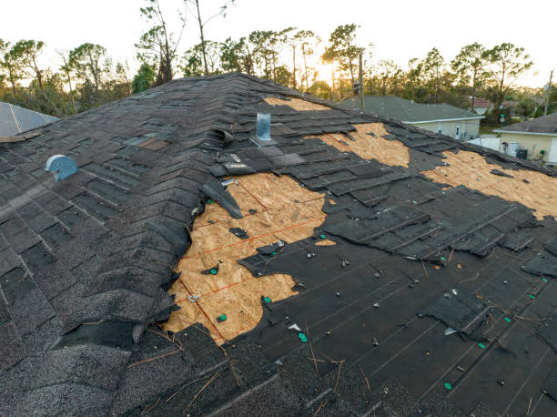 Best Roof Ventilation Installation  in Boone, NC